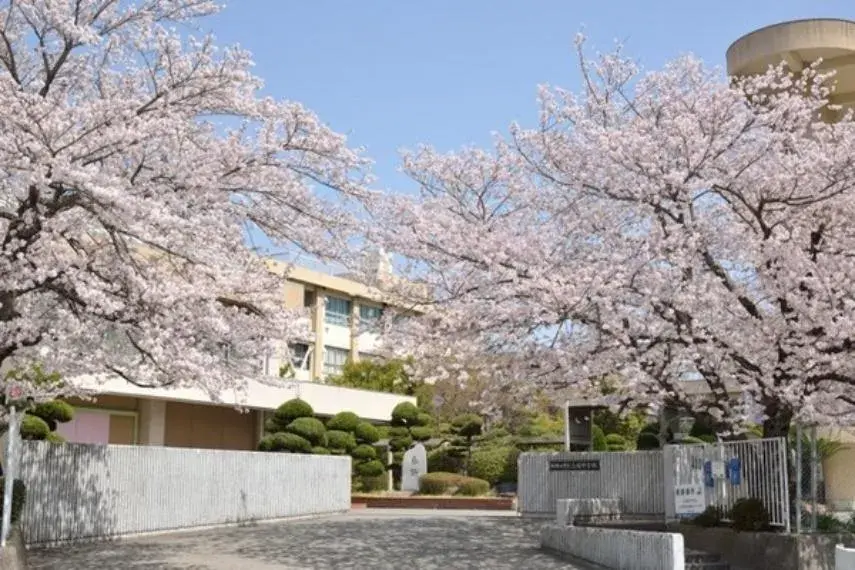 4DK Wakayama City Wakayama Prefecture Property (11)