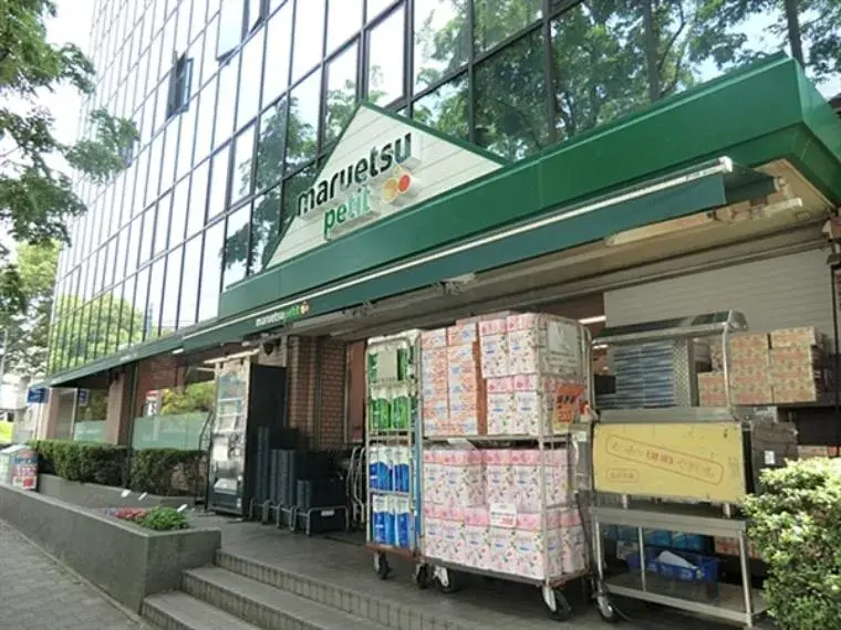 3LDK with Shop Space Property, Shinagawa-ku, Tokyo (4)