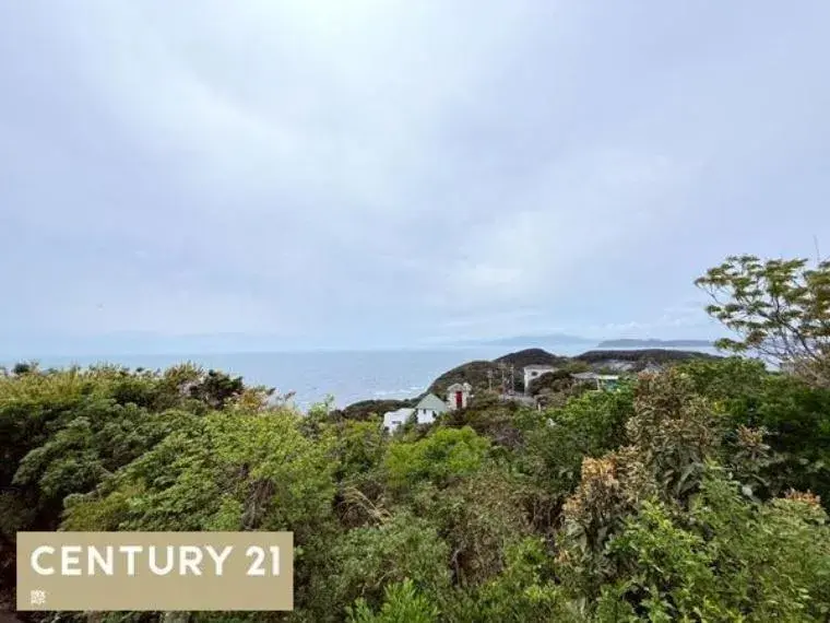 1LDK Property Wakayama City Wakayama Prefecture (6)