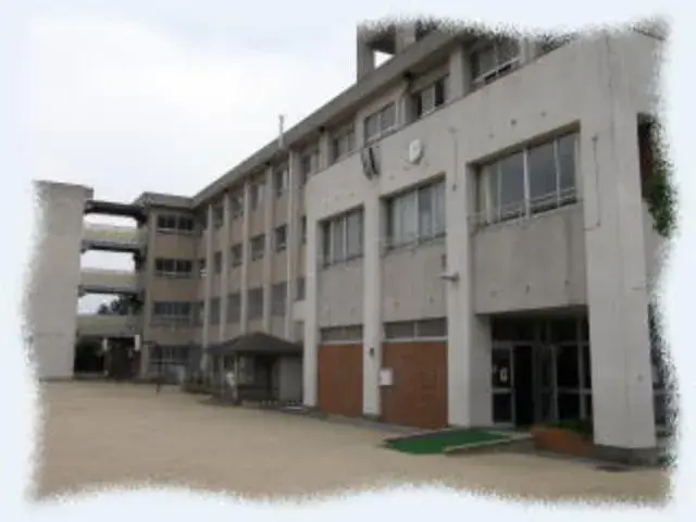 Slide 17