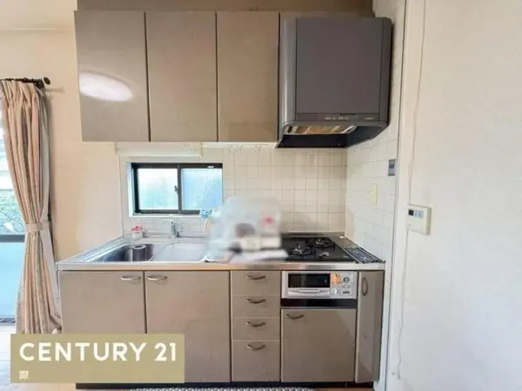 2LDK Property Iwade City Wakayama Prefecture (9)