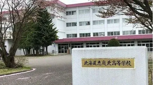 3LDK+S Eniwa City, Hokkaido (7)