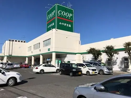 6K+S House Tagajo City Miyagi (20)