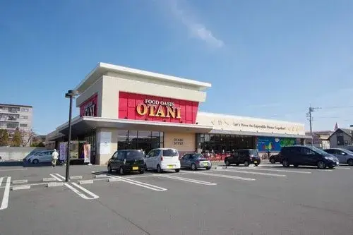 4DK مدينة Utsunomiya محافظة Tochigi (19)