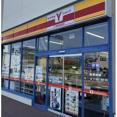 埼玉县鹤岛市4LDK房产 (15)