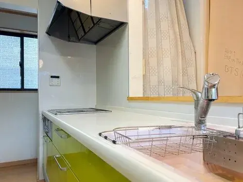 3LDK Adachi-ku Tokyo Property (16)