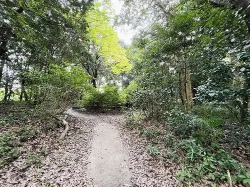 4DK Seika-cho Soraku-gun Kyoto Prefecture Propiedad (20)