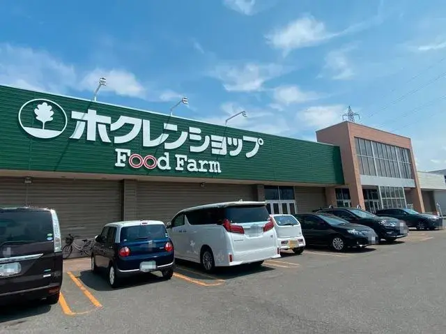 4LDK Property Sapporo City Hokkaido (21)