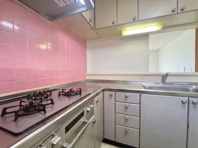 4LDK Property Sapporo Hokkaido (13)