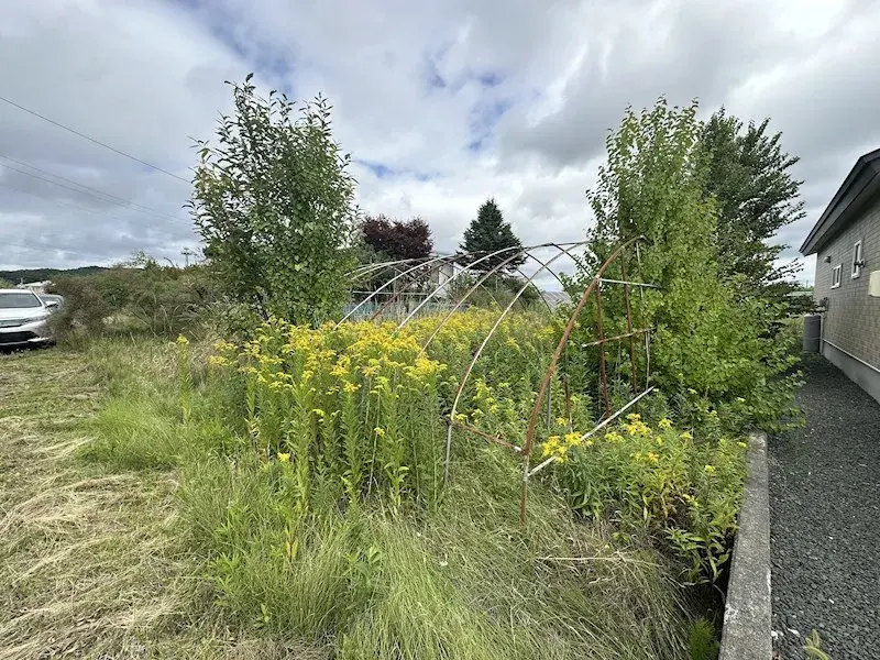 北海道美幌町 4LDK房产 (3)
