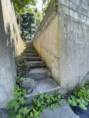 Slide 5