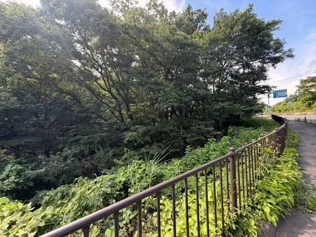 Slide 4