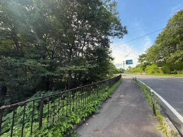 Slide 5
