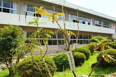 5SLDK房产 益子町 栃木县 (25)