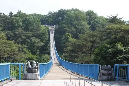 7LDK 宇都宮市 栃木県 (25)