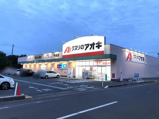 3LDK Property Takasaki City Gunma Prefecture (25)