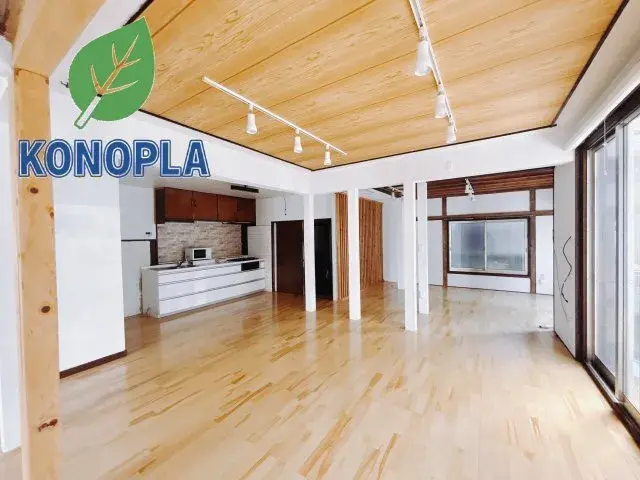 1LDK Property Takasaki City Gunma Prefecture (6)