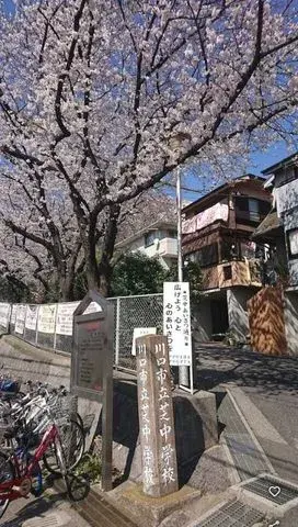 4LDK Property Kawaguchi City Saitama Prefecture (3)