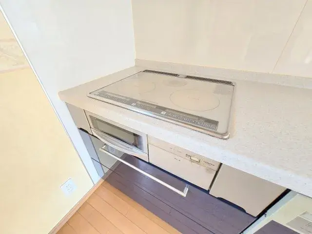 2LDK Property Iruma City Saitama Prefecture (21)