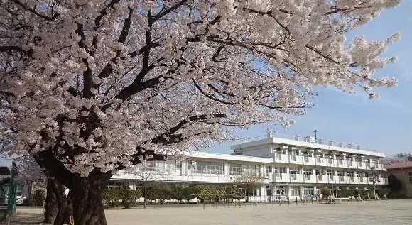 1LDK Property Saitama-shi Saitama Prefecture (21)