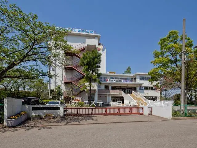 2LDK房源 越谷市 埼玉县 (21)