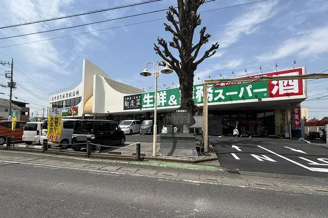 3LDK Sayama City Saitama Prefecture (23)