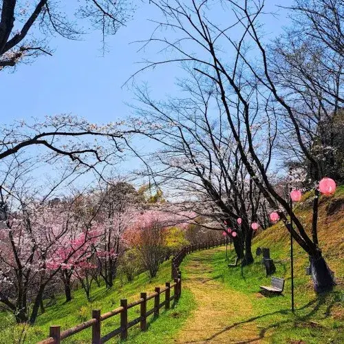 4DK Ogoemachi Iruma-gun Préfecture de Saitama (11)