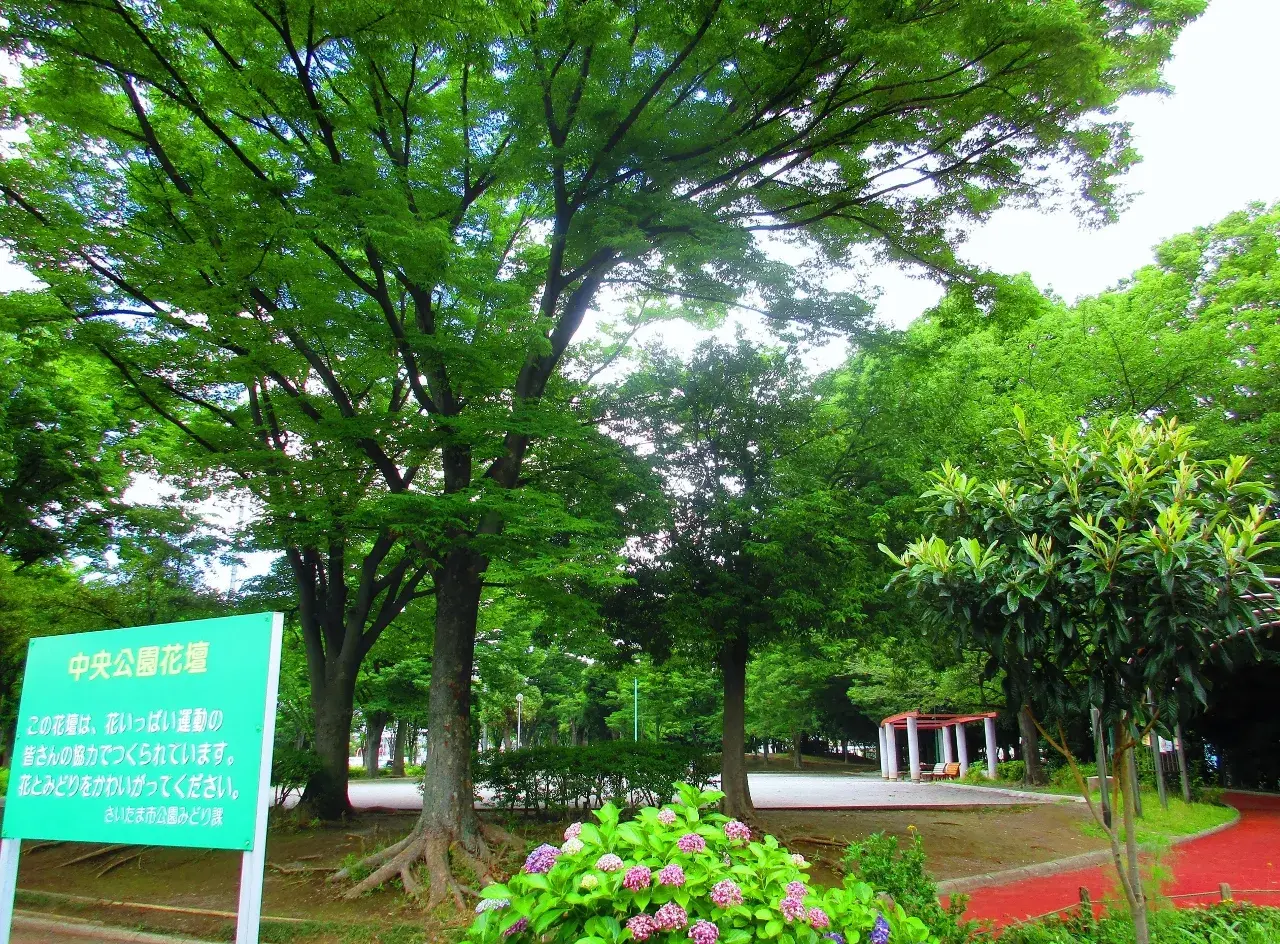4室1厅 埼玉市中央区 埼玉県 (24)