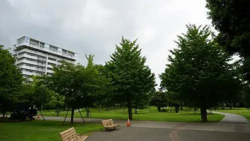2DK Fujimino City Saitama Prefecture (18)