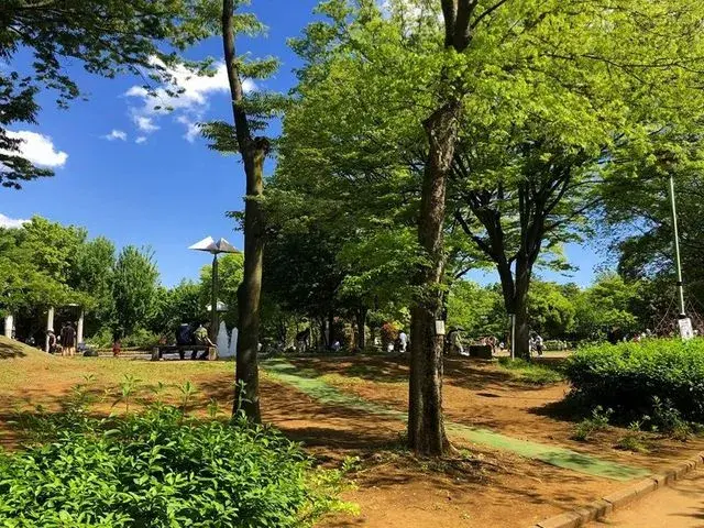 3LDK物件 朝霞市 埼玉県 (23)
