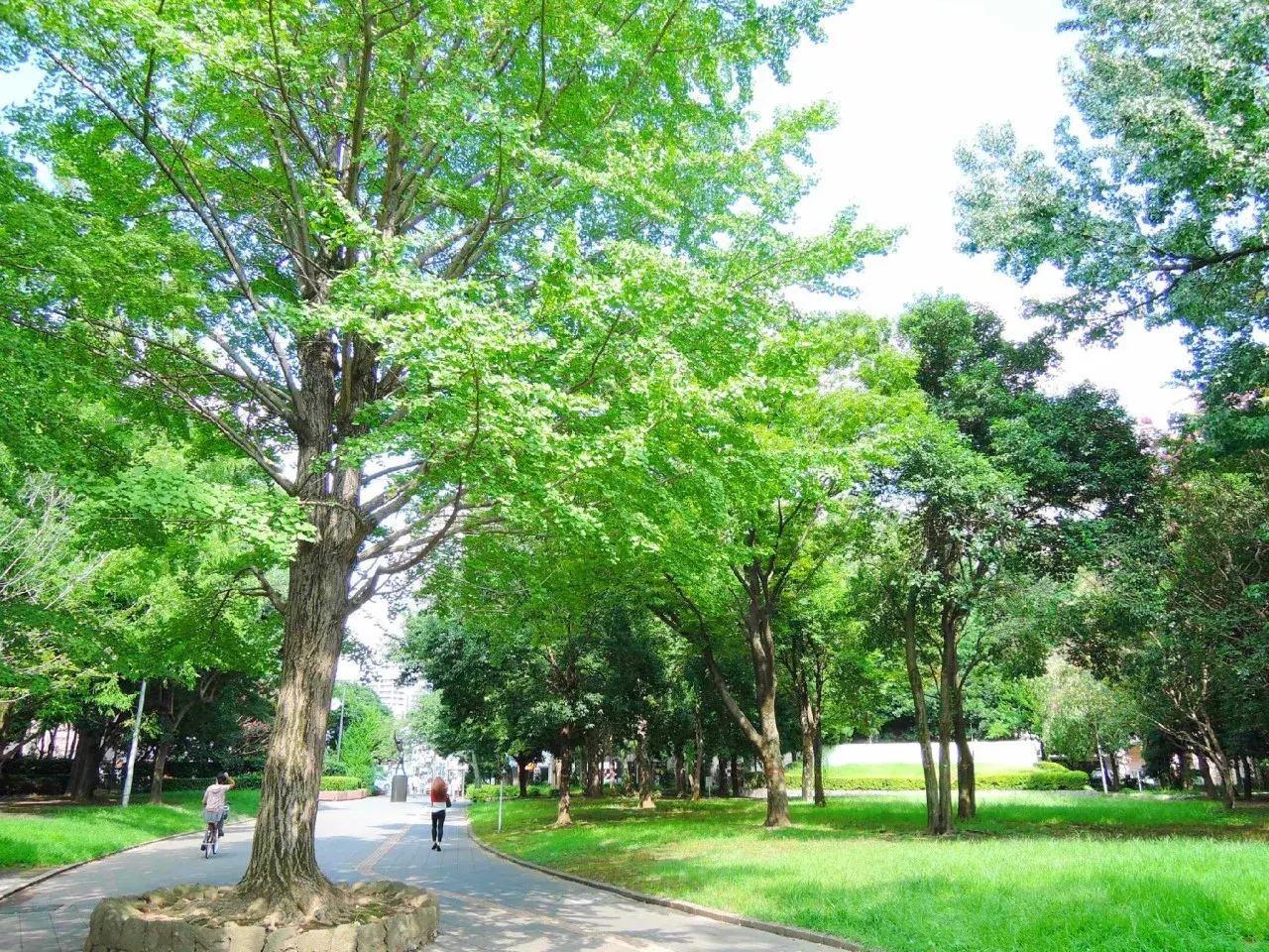 Propriété 4LDK Saitama-shi Urawa-ku Préfecture de Saitama (16)