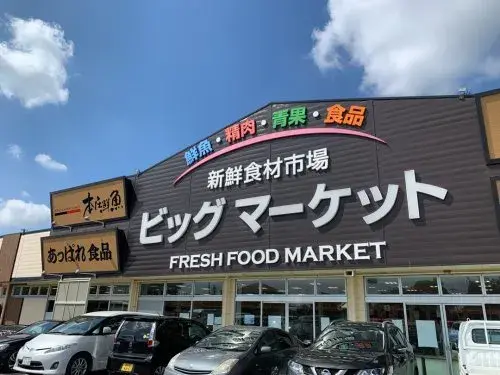 6SK Property Honjo City Saitama Prefecture (15)