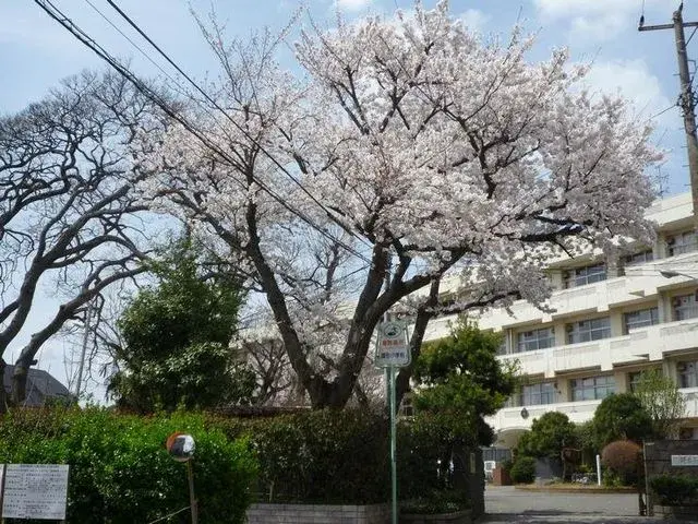 3LDK房产 船桥市 千叶县 (29)