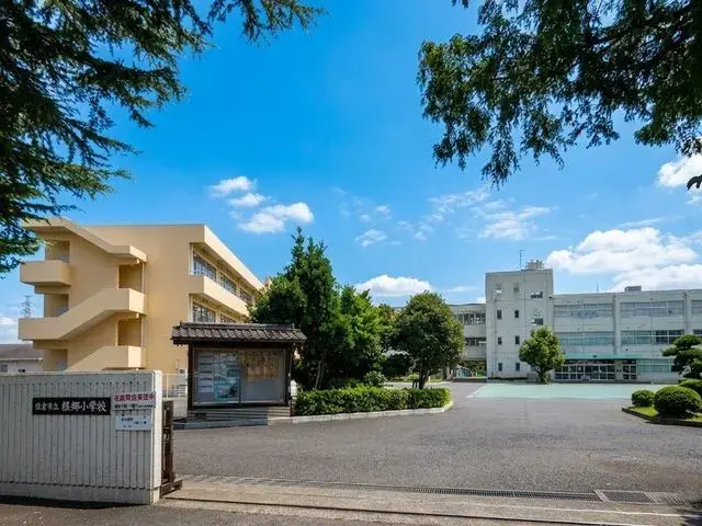 3SDK Sakura City Chiba Prefecture (25)
