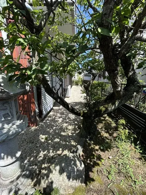 3SLDK Property Chiba City Chiba Prefecture (4)