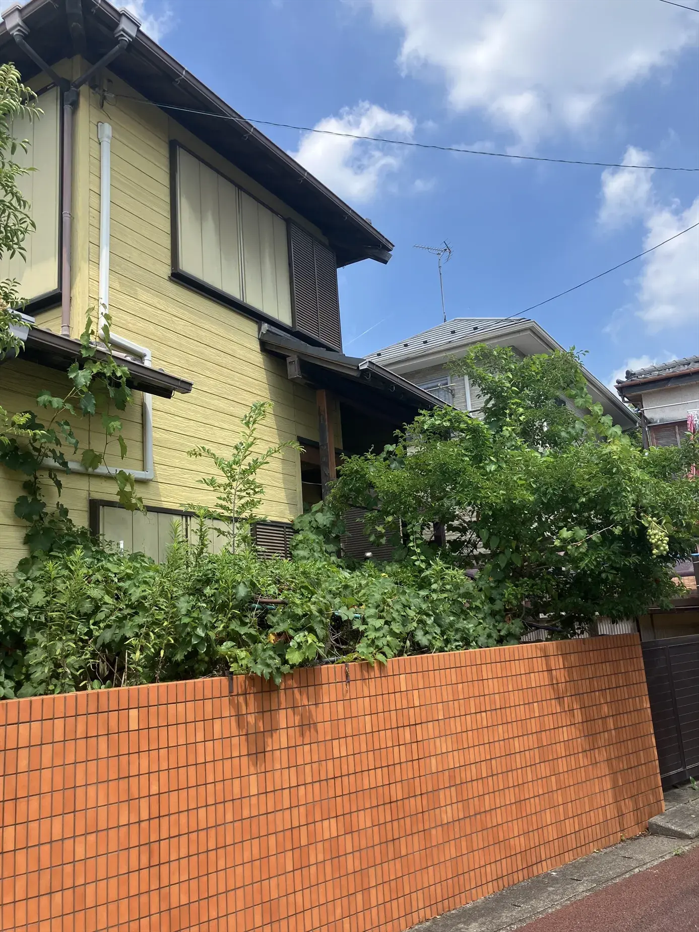 3K Nagareyama City Chiba Prefecture (2)