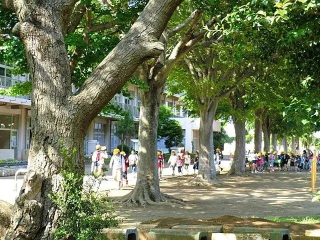 4LDK房产 富里市 千叶县 (24)