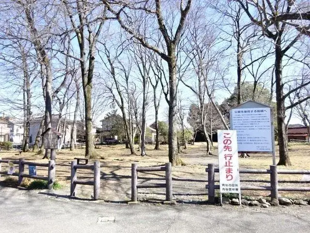4LDK Property Ome City Tokyo (9)