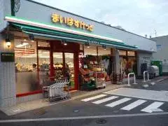 2SLDK Arrondissement d'Edogawa, Tokyo (20)