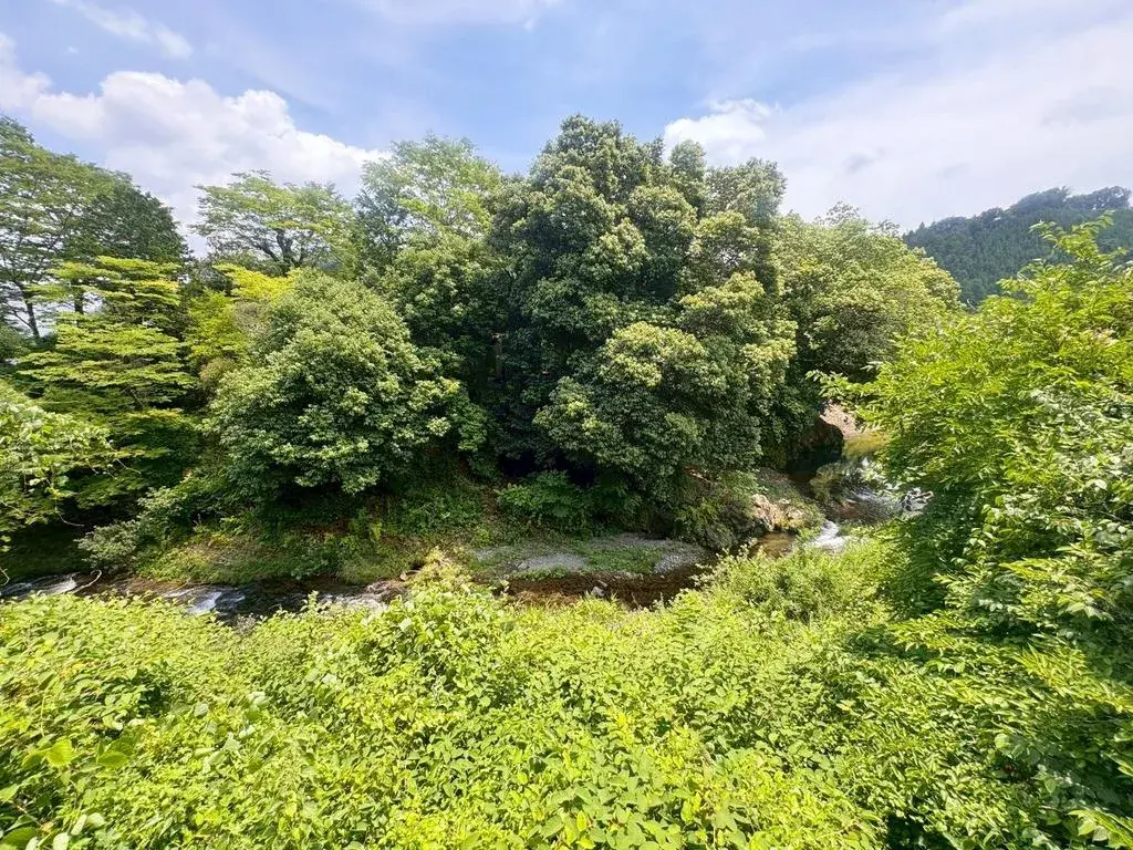 4LDK Property Hachioji City Tokyo (7)