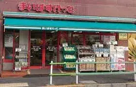 3LDK Property Katsushika-ku Tokyo (10)