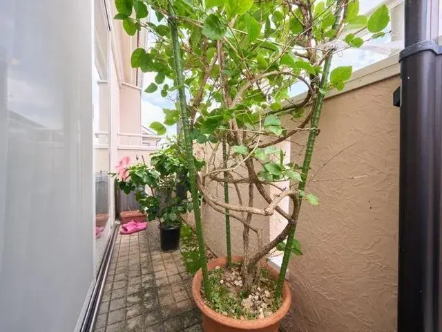 4LDK Property Musashino City Tokyo (10)