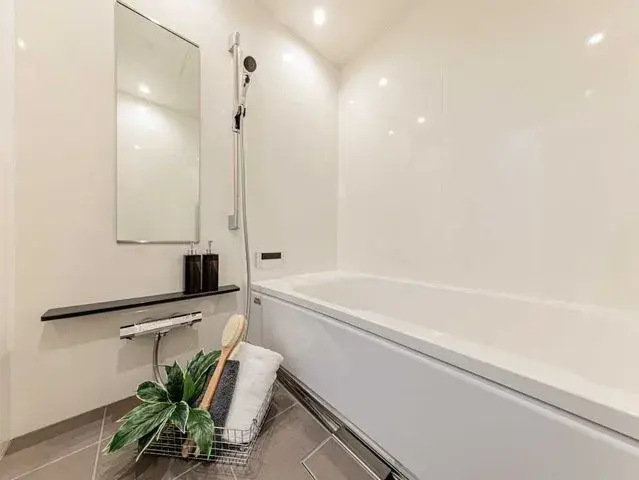 2LDK Property Toshima-ku Tokyo (27)