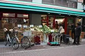 7K Property Edogawa Ward Tokyo (12)