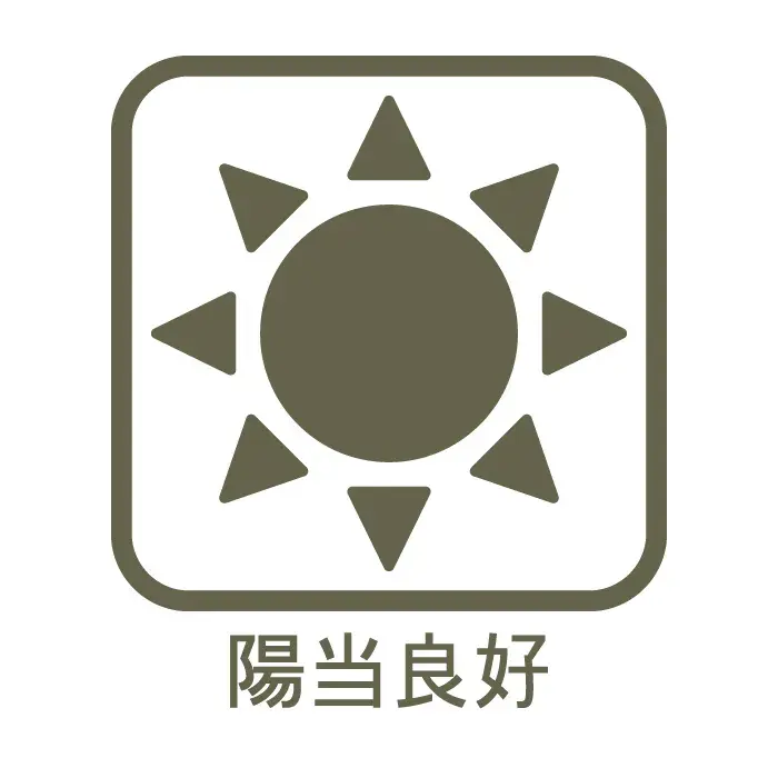 3LDK Property Edogawa-ku Tokyo (5)