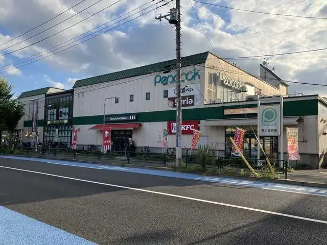 4LDK Koganei City Tokyo (23)