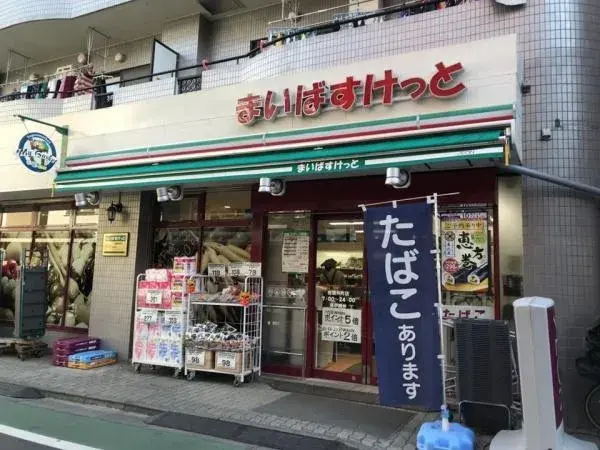 5SLDK Property Itabashi-ku Tokyo (21)