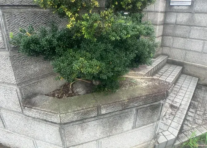 6SDK物件 町田市 東京都 (28)