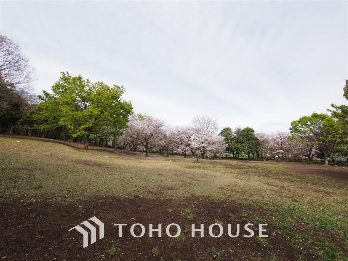 4LDK Setagaya-ku Tokyo (8)
