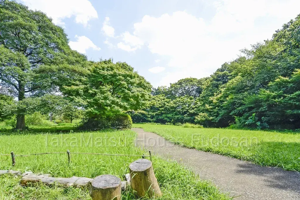 1SLDK Property Setagaya-ku Tokyo (20)
